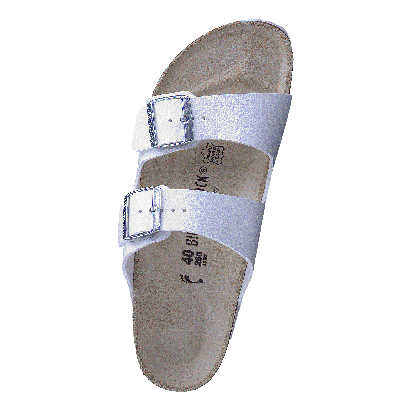 Arizona Narrow White