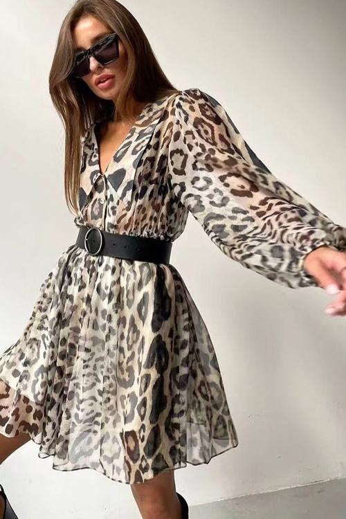 Gail – Bedrucktes Chiffon-Minikleid mit V-Ausschnitt und Gürtel