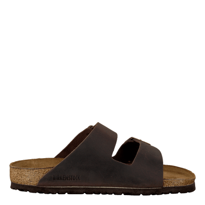 Arizona Regular Cuero Natural Engrasado - Habana